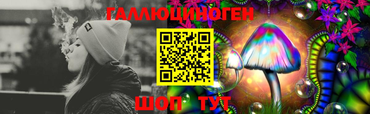 Заволжье  Галлюциногенные грибы MAGIC MUSHROOMS  Вход с VPN 